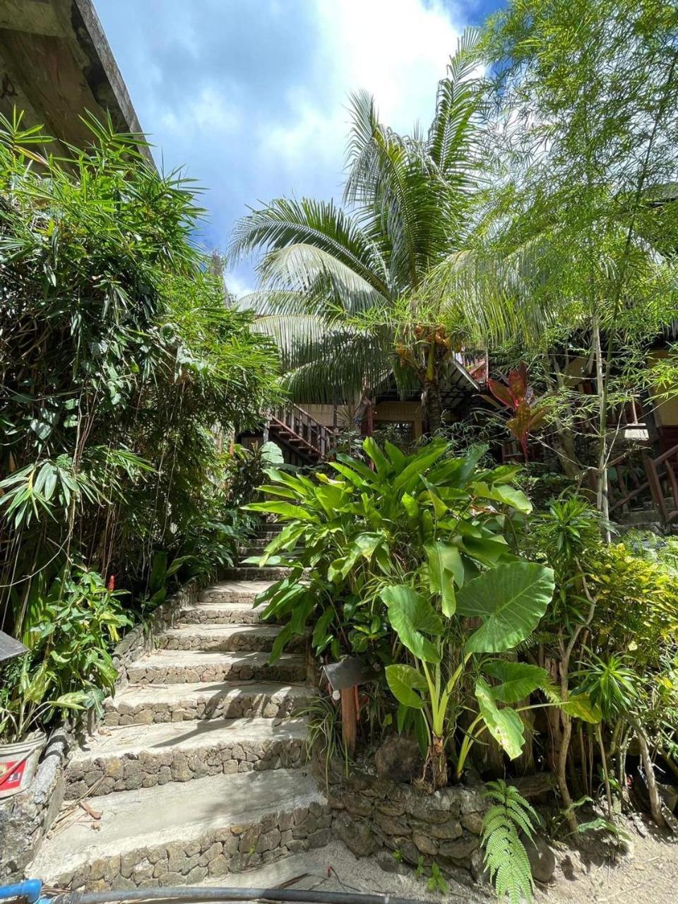 Novie'S Tourist Inn El Nido Dış mekan fotoğraf