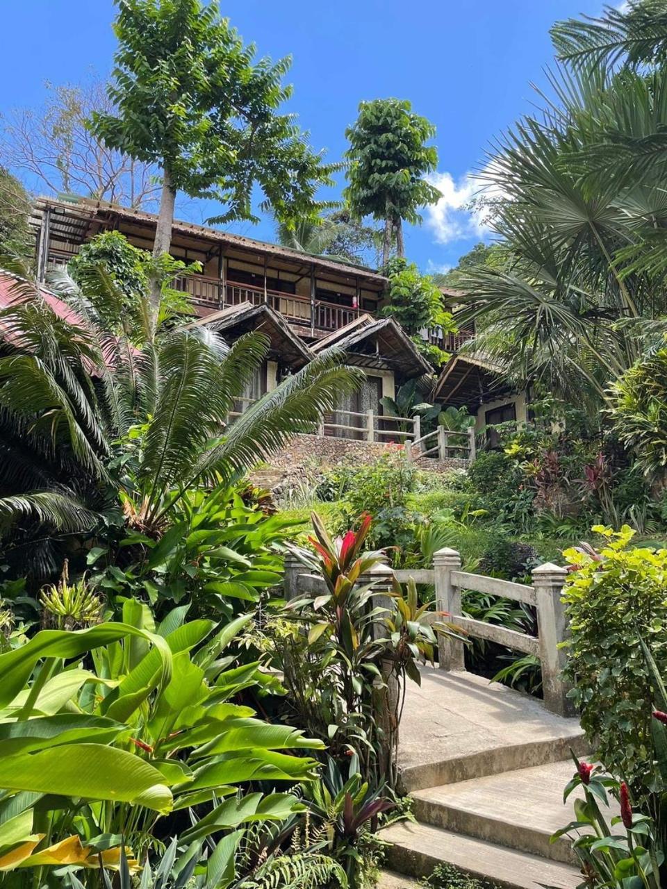 Novie'S Tourist Inn El Nido Dış mekan fotoğraf